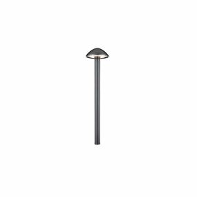 6521 LED Landscape Interpath Light Black On AluminumDecorative outdoor post lights