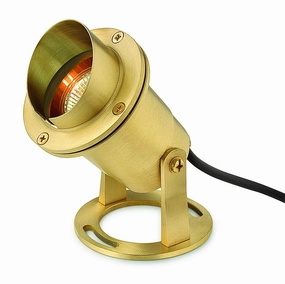 Accent Pond Light LED Landscape Spot BrassColor changing landscape spotlights