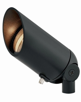 Accent Spot Light LED Landscape Accent Satin BlackColor changing landscape spotlights