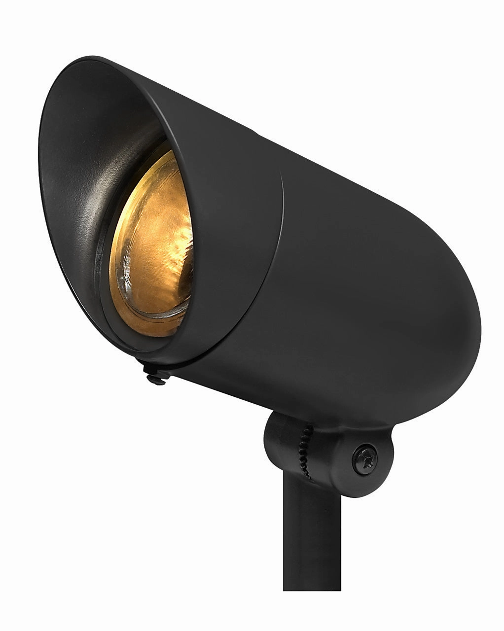 Accent Spot Light LED Landscape BlackColor changing landscape spotlights