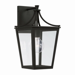 Adair 1-Light Outdoor Wall LanternWeatherproof outdoor lighting