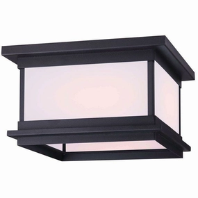Akello Outdoor Ceiling LightWeatherproof outdoor lighting