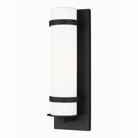 Alban Small 1-Light Outdoor Wall LightWeatherproof outdoor lighting