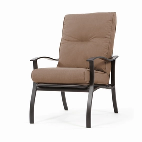Albany Dining Chairoutdoor dining chair with armrests