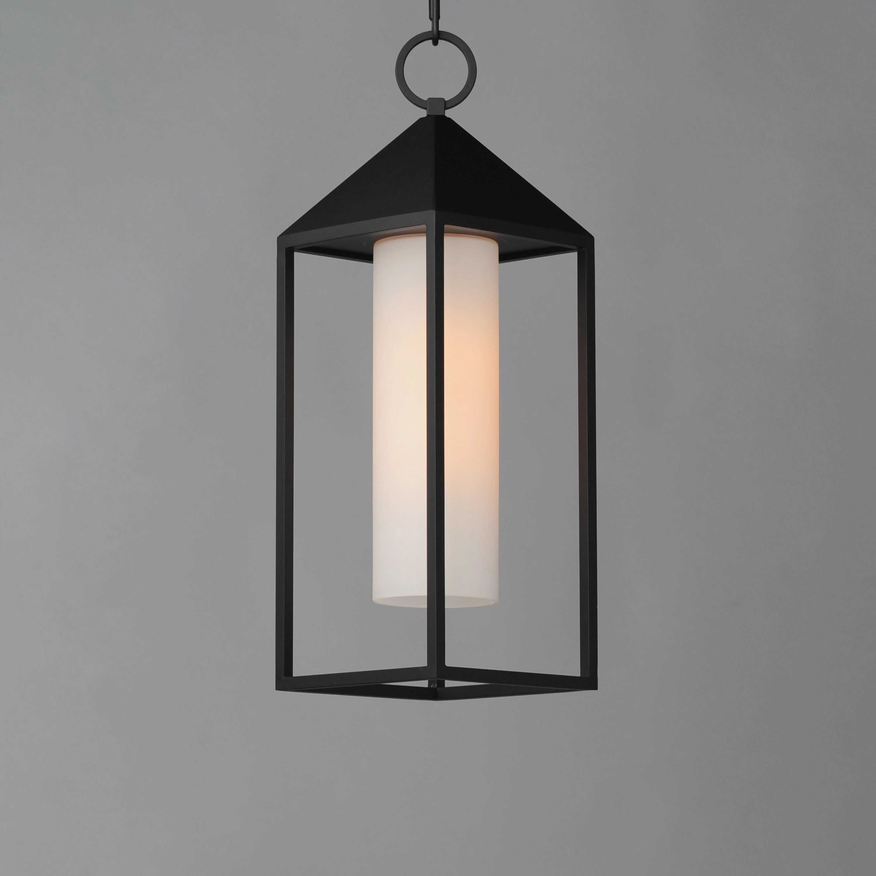 Aldous 1-Light Outdoor Pendant