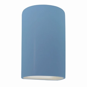 Ambiance LED Outdoor Wall Sconce Sky BlueOutdoor wall sconces with motion sensor