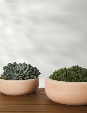 Annalise Planter (Set of 2) by Campania International -  - mini herb garden planters for kitchen