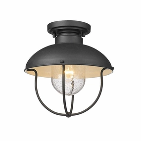 Ansel 1-Light Outdoor Ceiling LightWeatherproof outdoor lighting