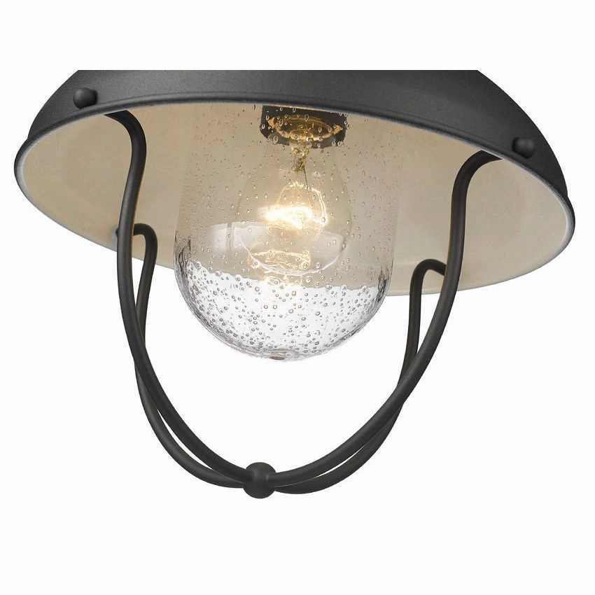 Ansel 1-Light Outdoor Ceiling Light