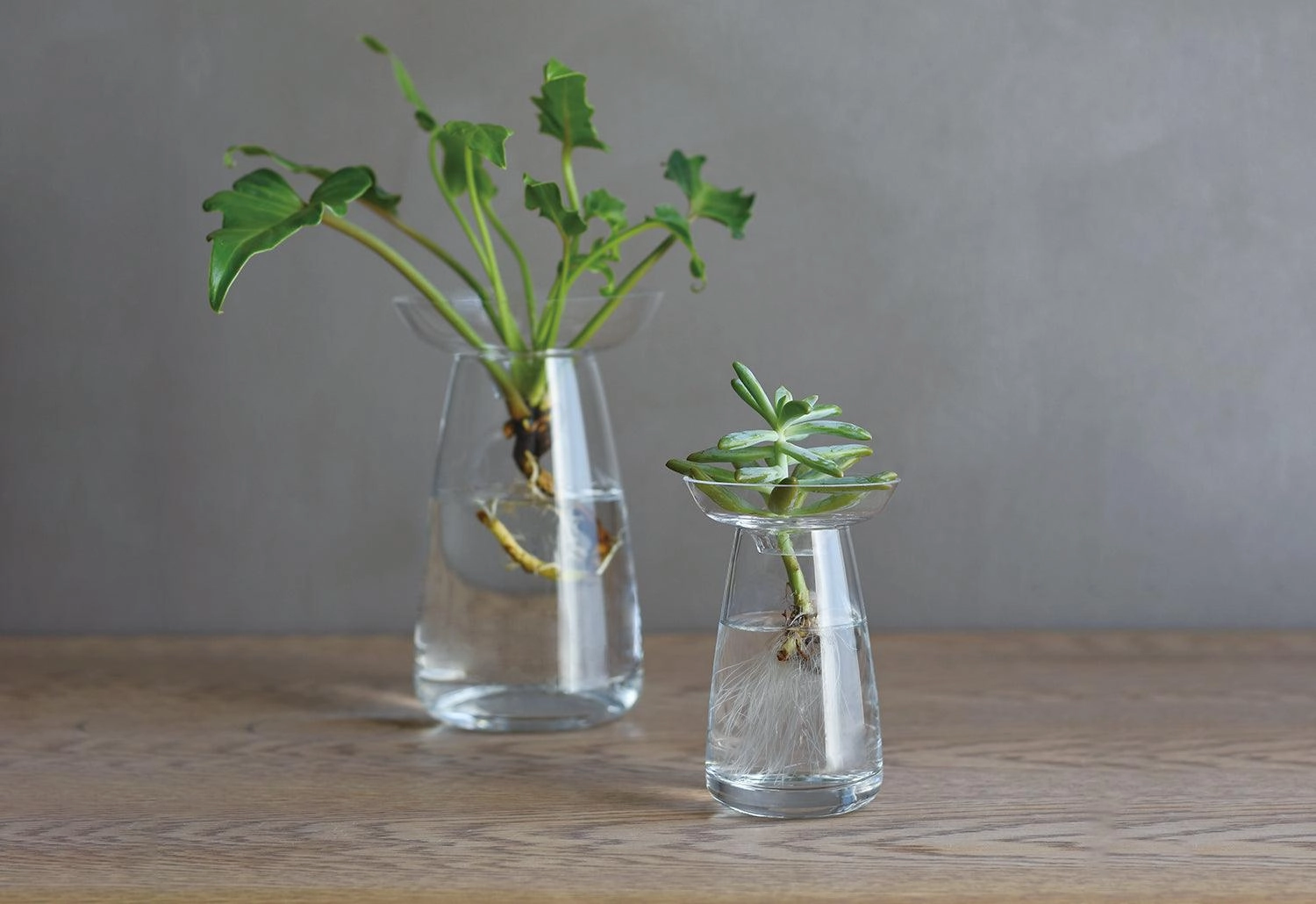 Aqua Culture Vase