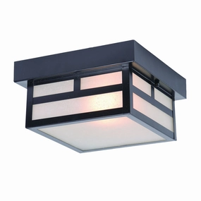 Artisan Outdoor Ceiling LightWeatherproof outdoor lighting