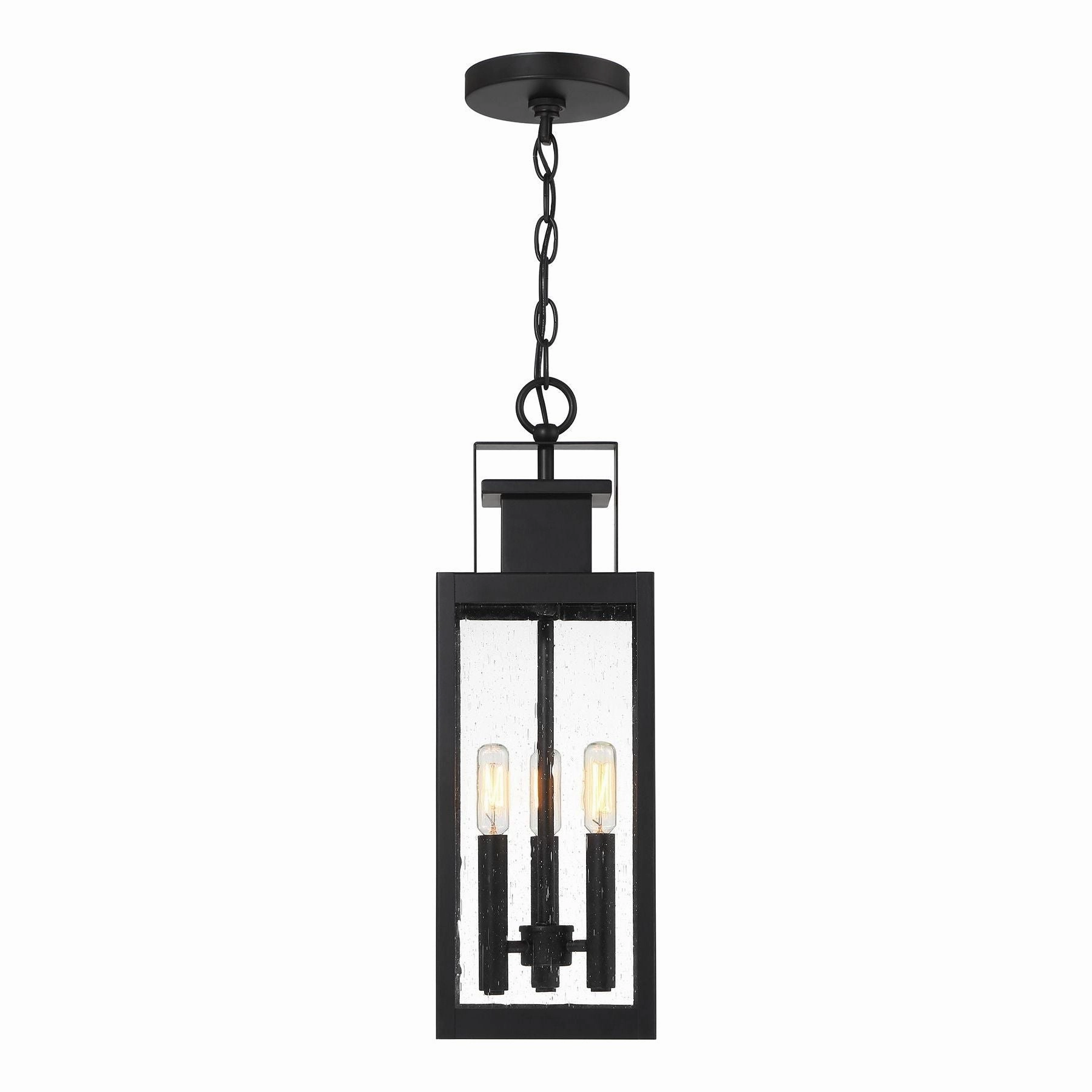 Ascott 3-Light Outdoor Hanging Lantern