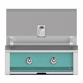 Aspire by Hestan 30-Inch Natural Gas Built-In Grill With Burners EAB30-NG-TQ compact BBQ grill for small spaces