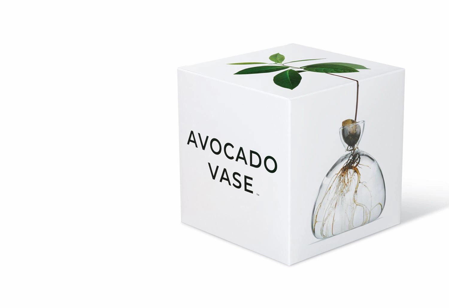 Avocado Vase
