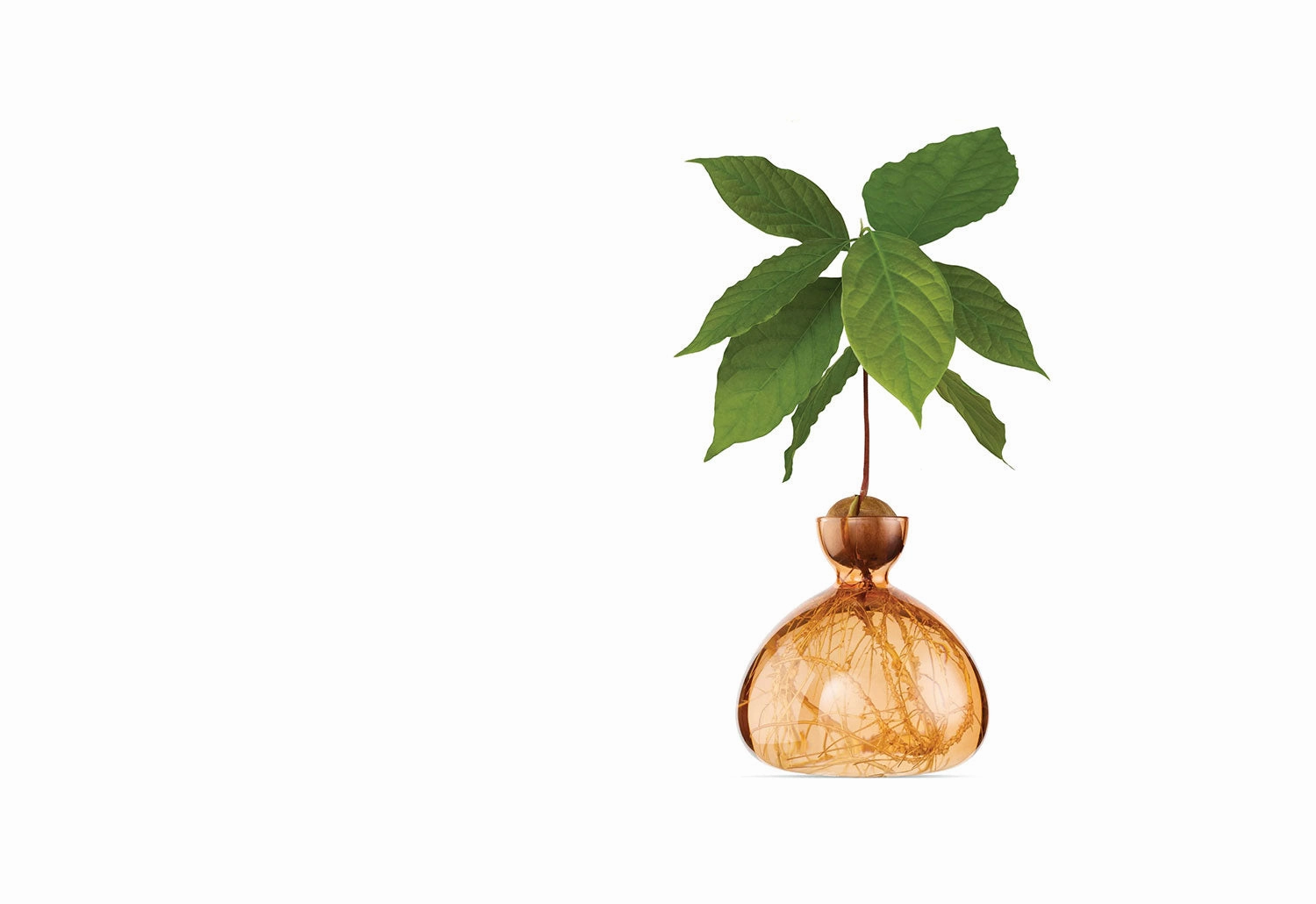 Avocado VaseDurable outdoor patio accessories