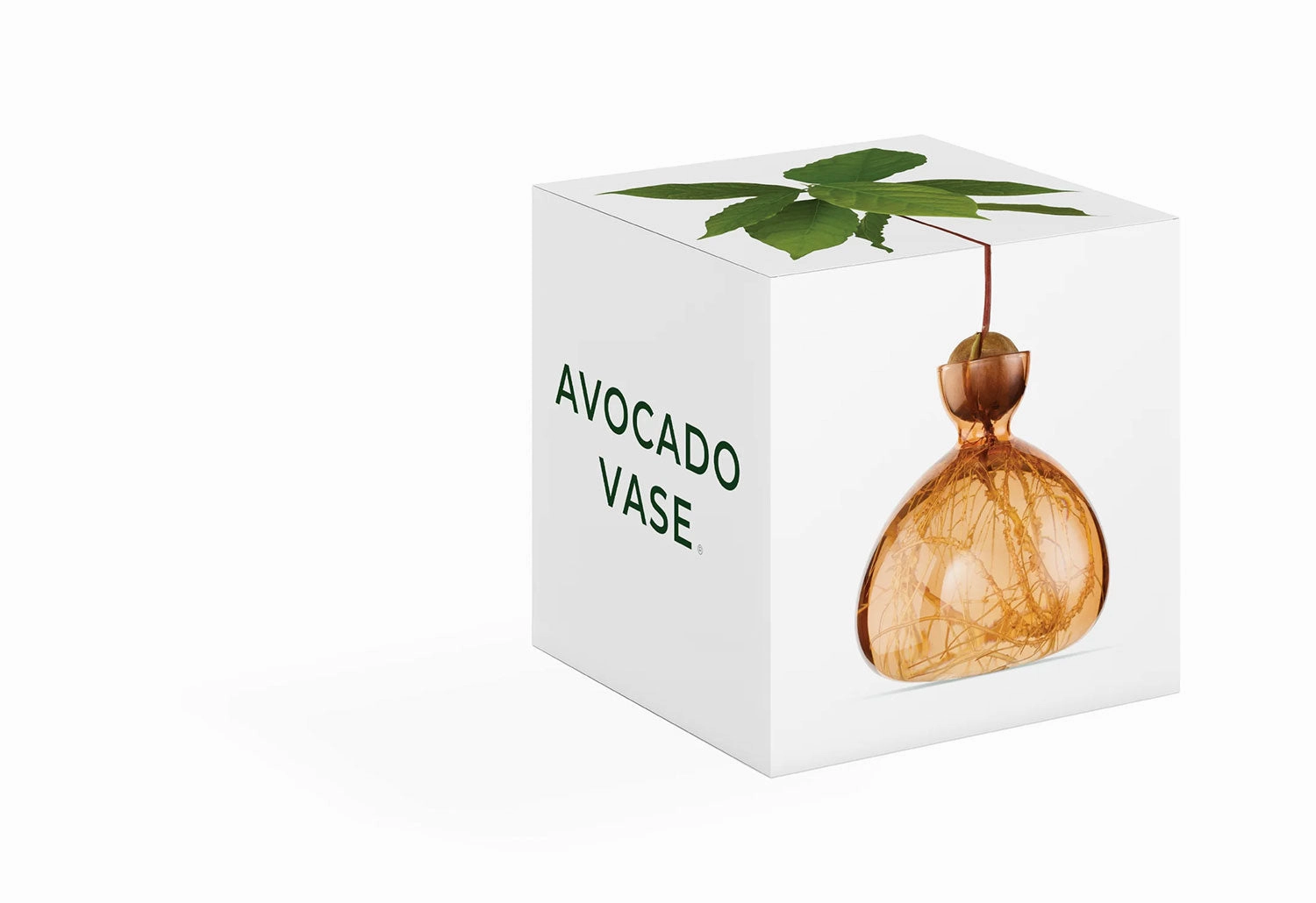 Avocado Vase