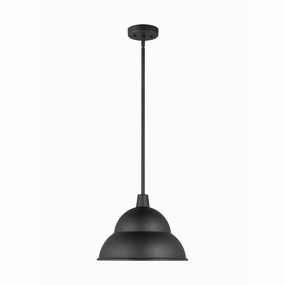 Barn Light 1-Light Outdoor Pendant (with Bulb)Weatherproof outdoor lighting