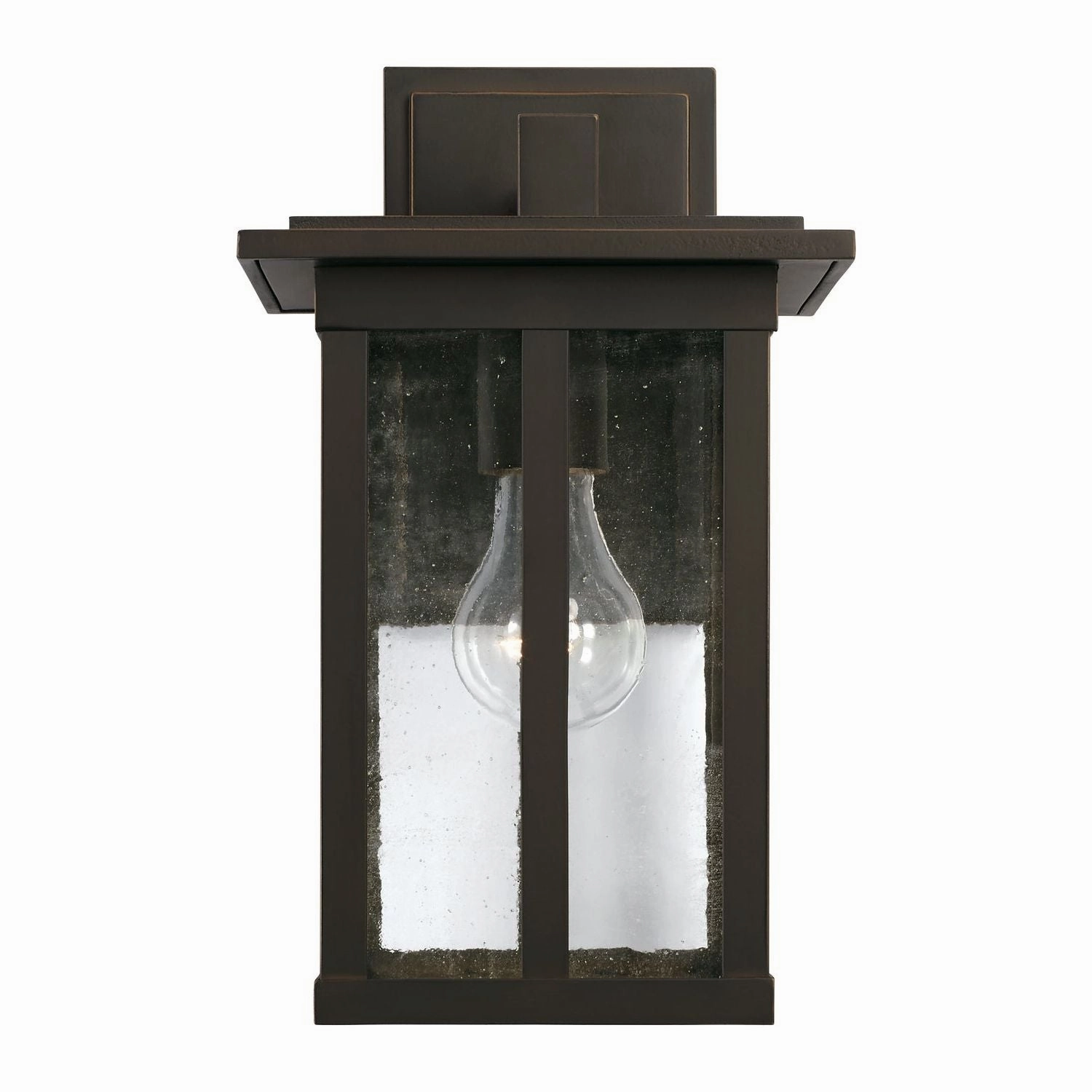 Barrett 1-Light Outdoor Wall Lantern