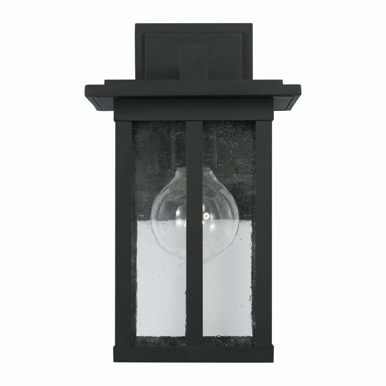 Barrett 1-Light Outdoor Wall Lantern