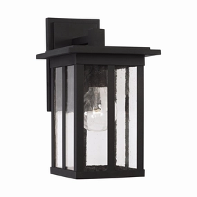 Barrett 1-Light Outdoor Wall LanternWeatherproof outdoor lighting