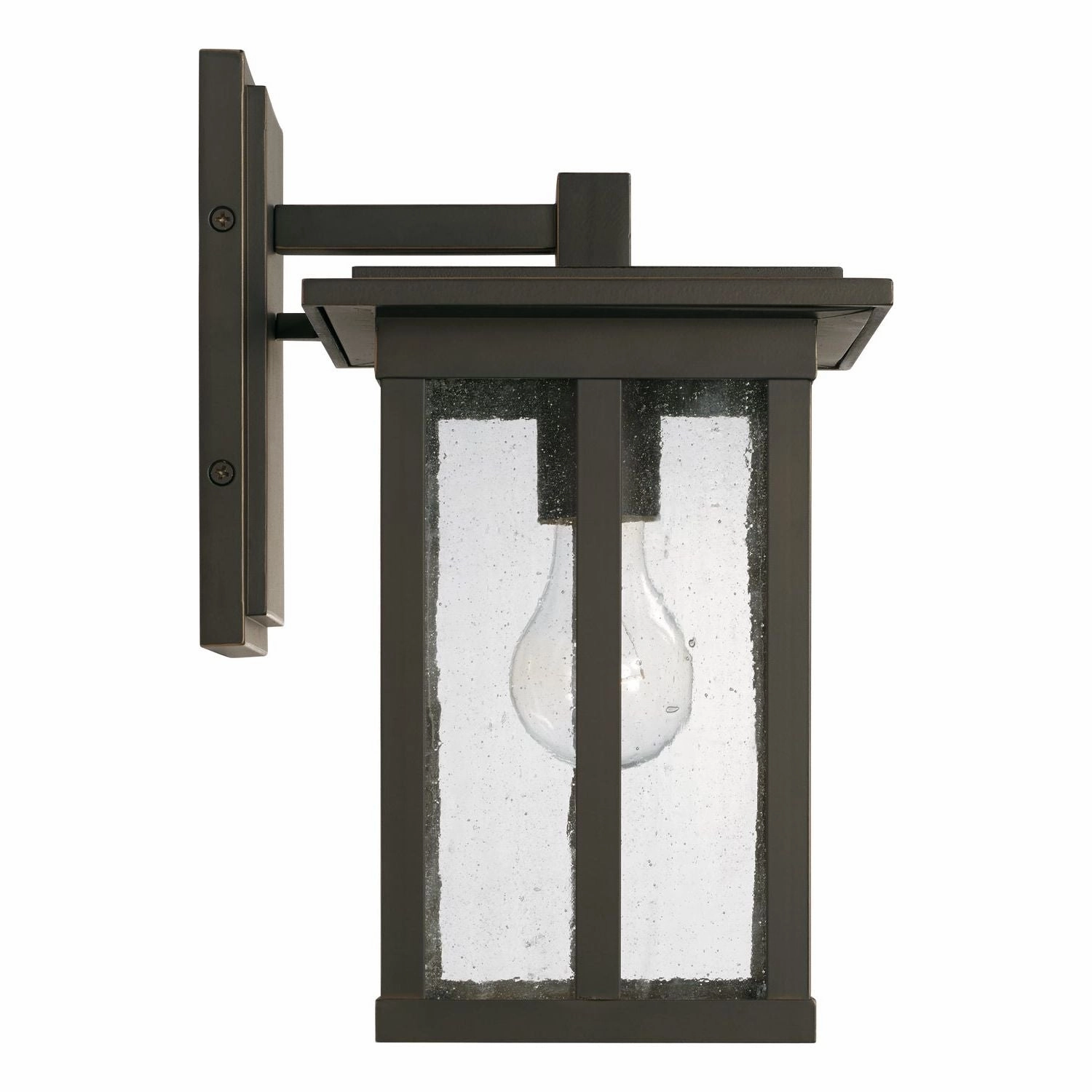Barrett 1-Light Outdoor Wall Lantern