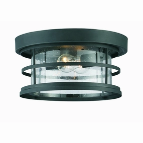 Barrett Outdoor Ceiling LightWeatherproof outdoor lighting