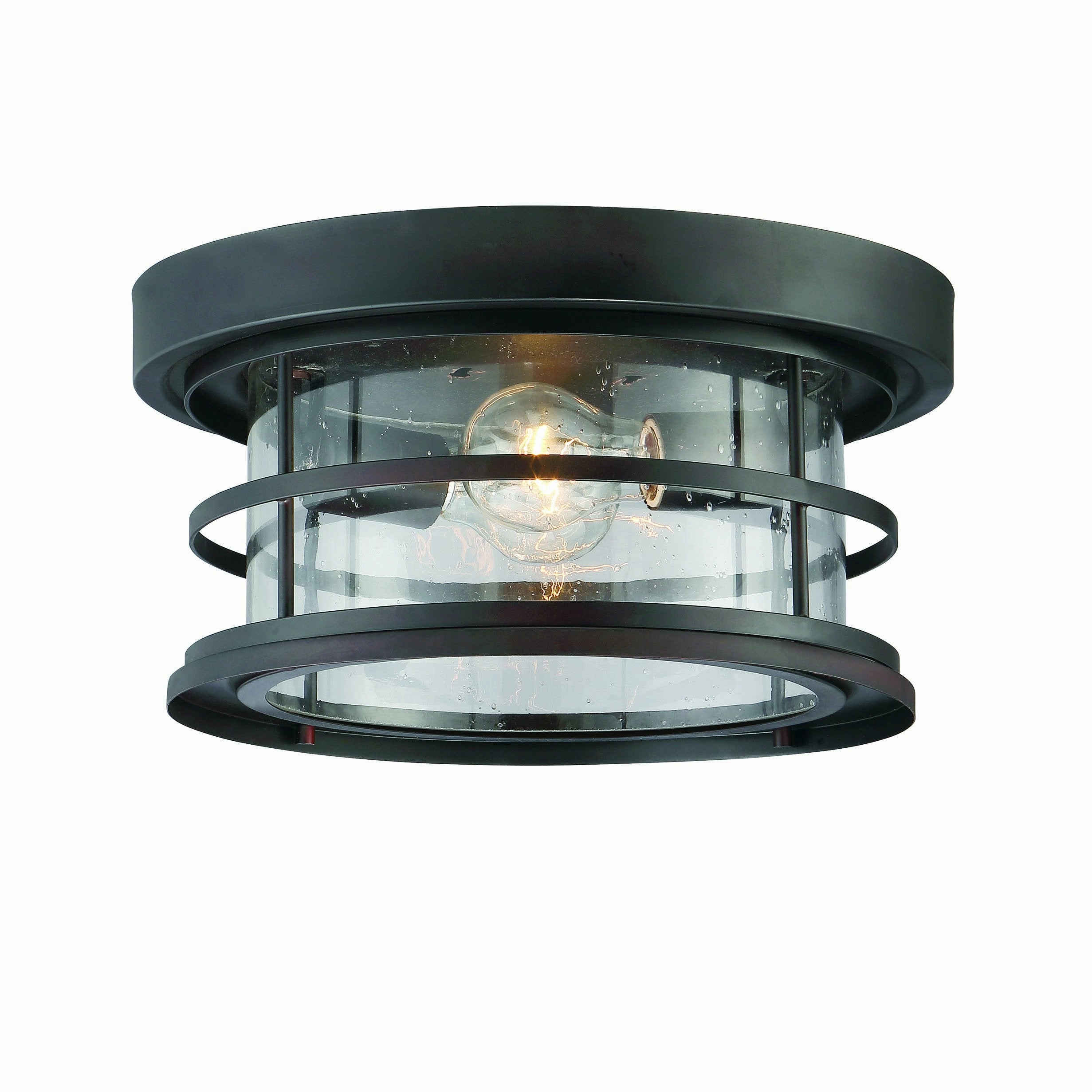 Barrett Outdoor Ceiling Light
