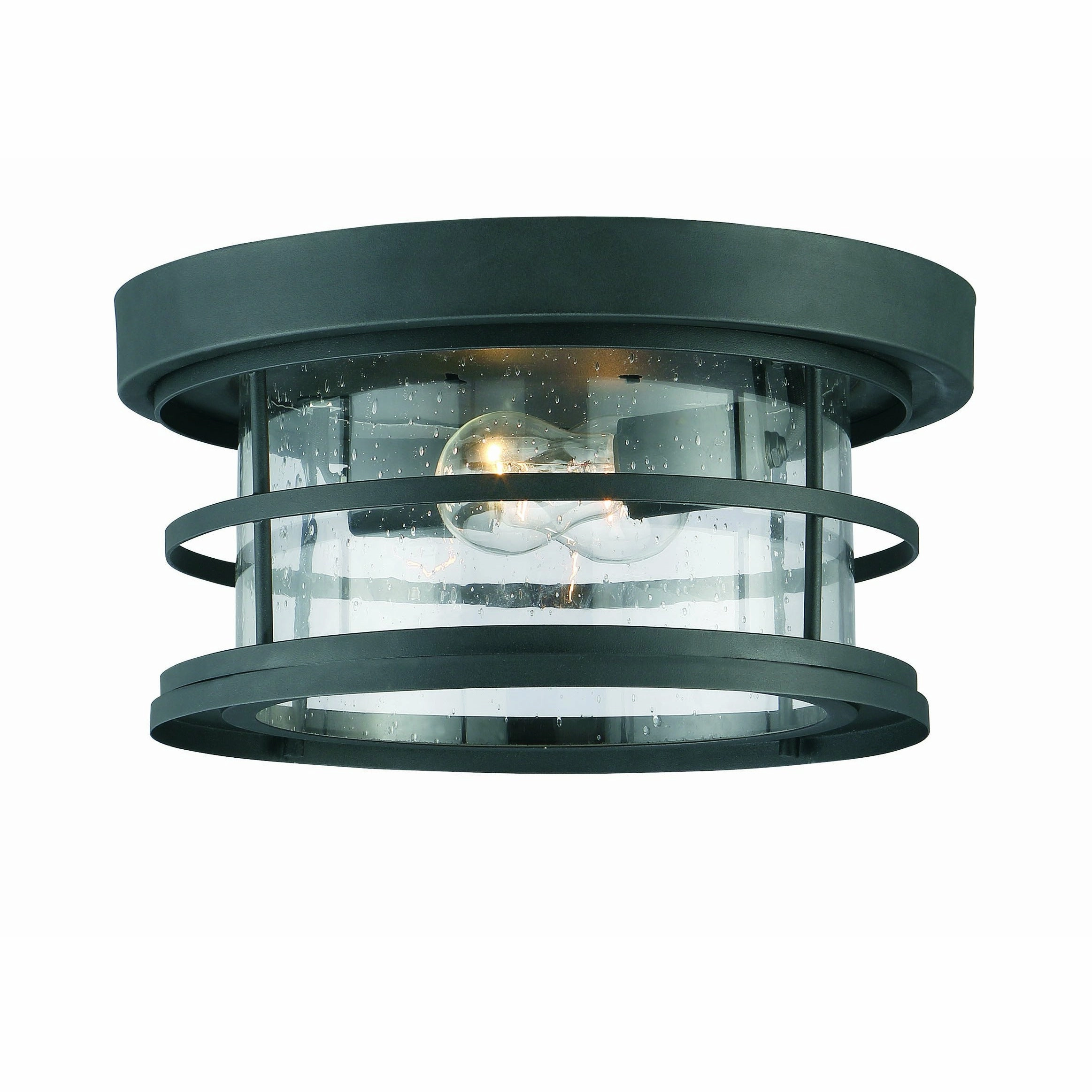 Barrett Outdoor Ceiling LightWeatherproof outdoor lighting