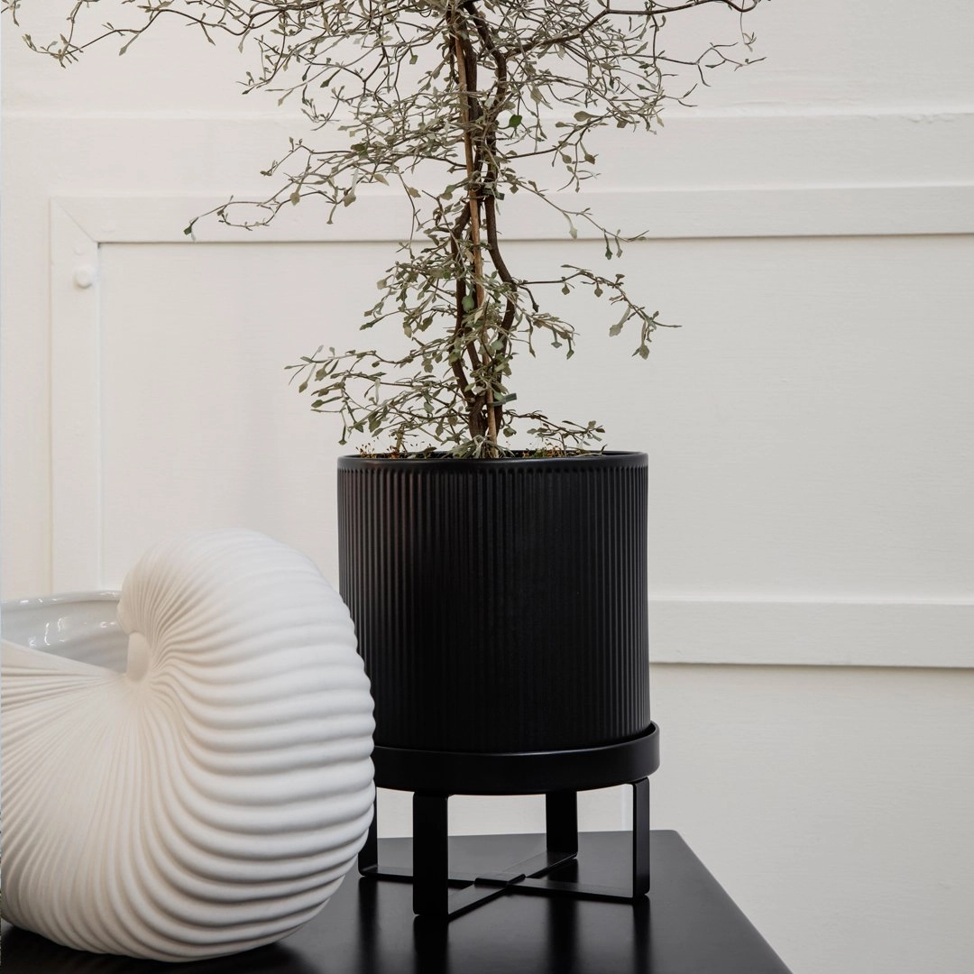 Bau Pot