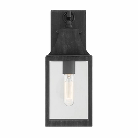 Blueberry Trail One Light Wall Lantern Weathered PewterOutdoor wall sconces with motion sensor