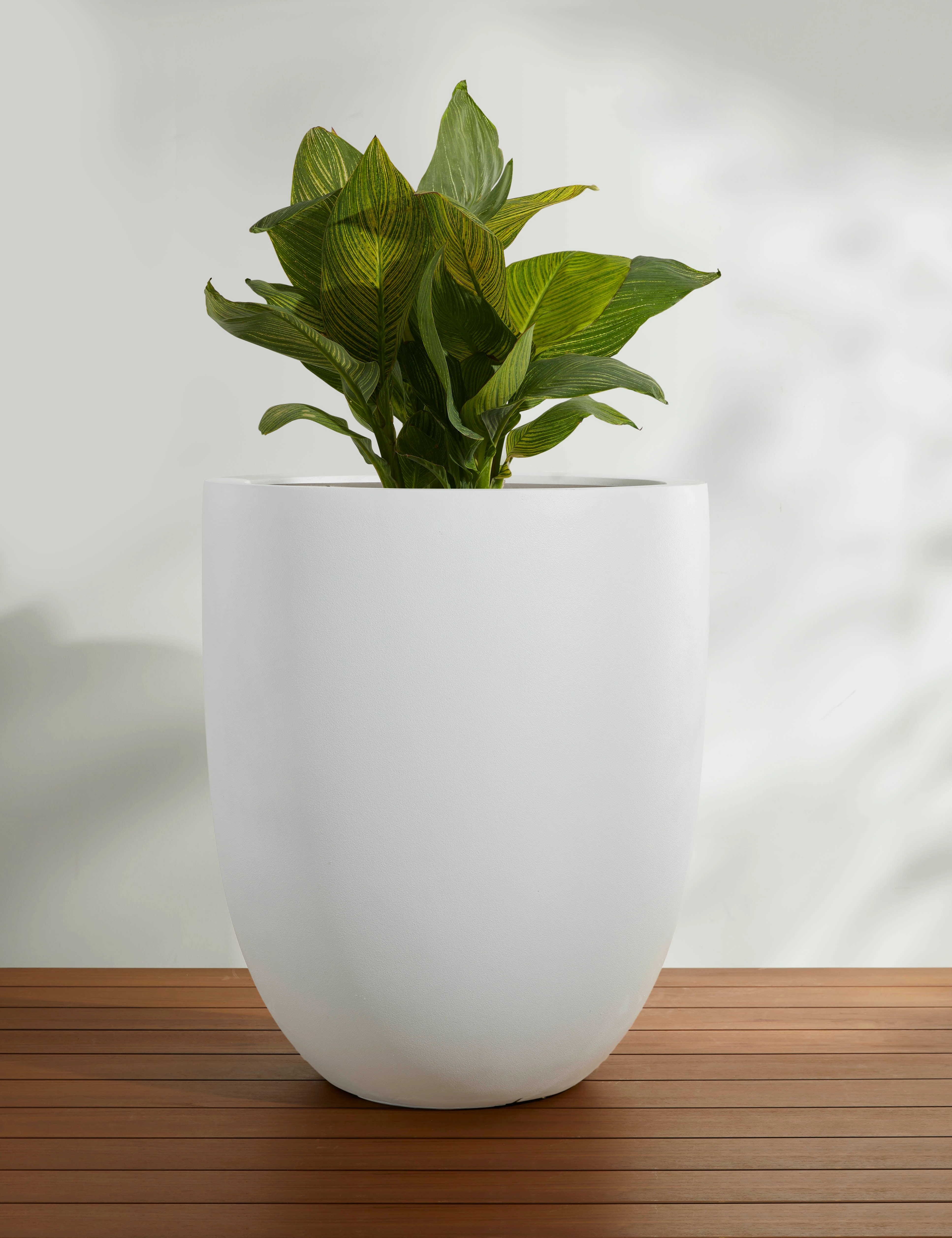 Bradford Planters by Campania International