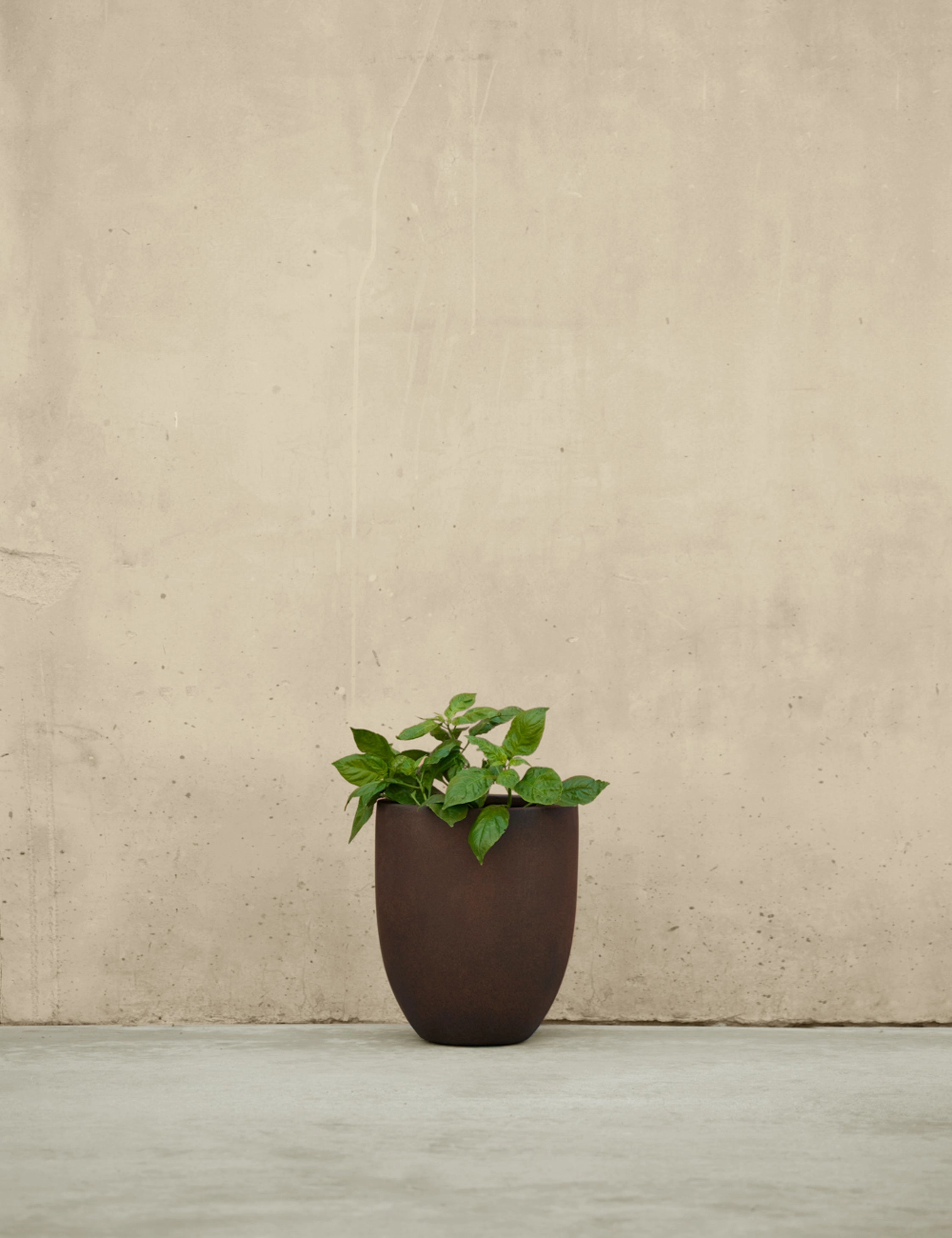 Bradford Planters by Campania International