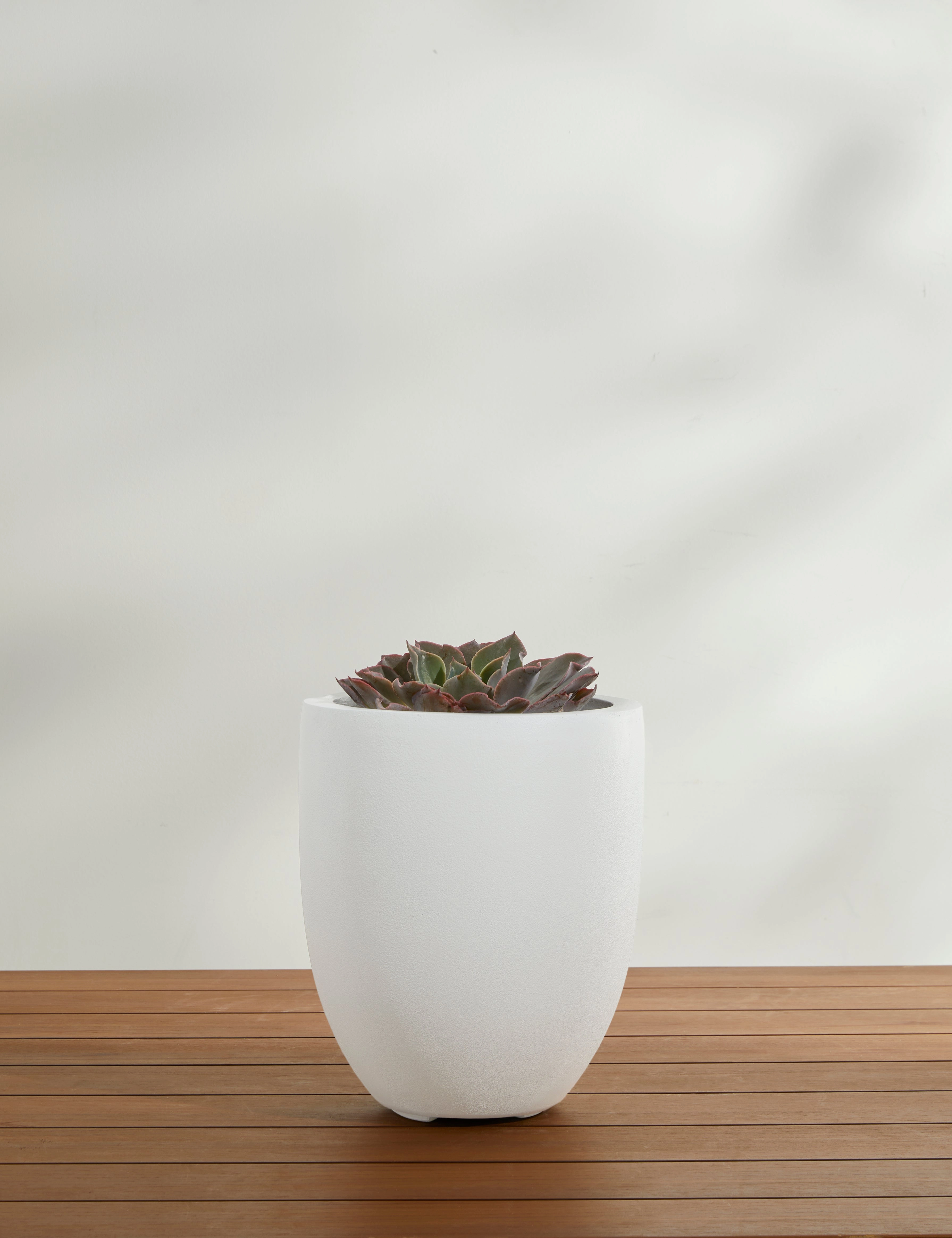 Bradford Planters by Campania International