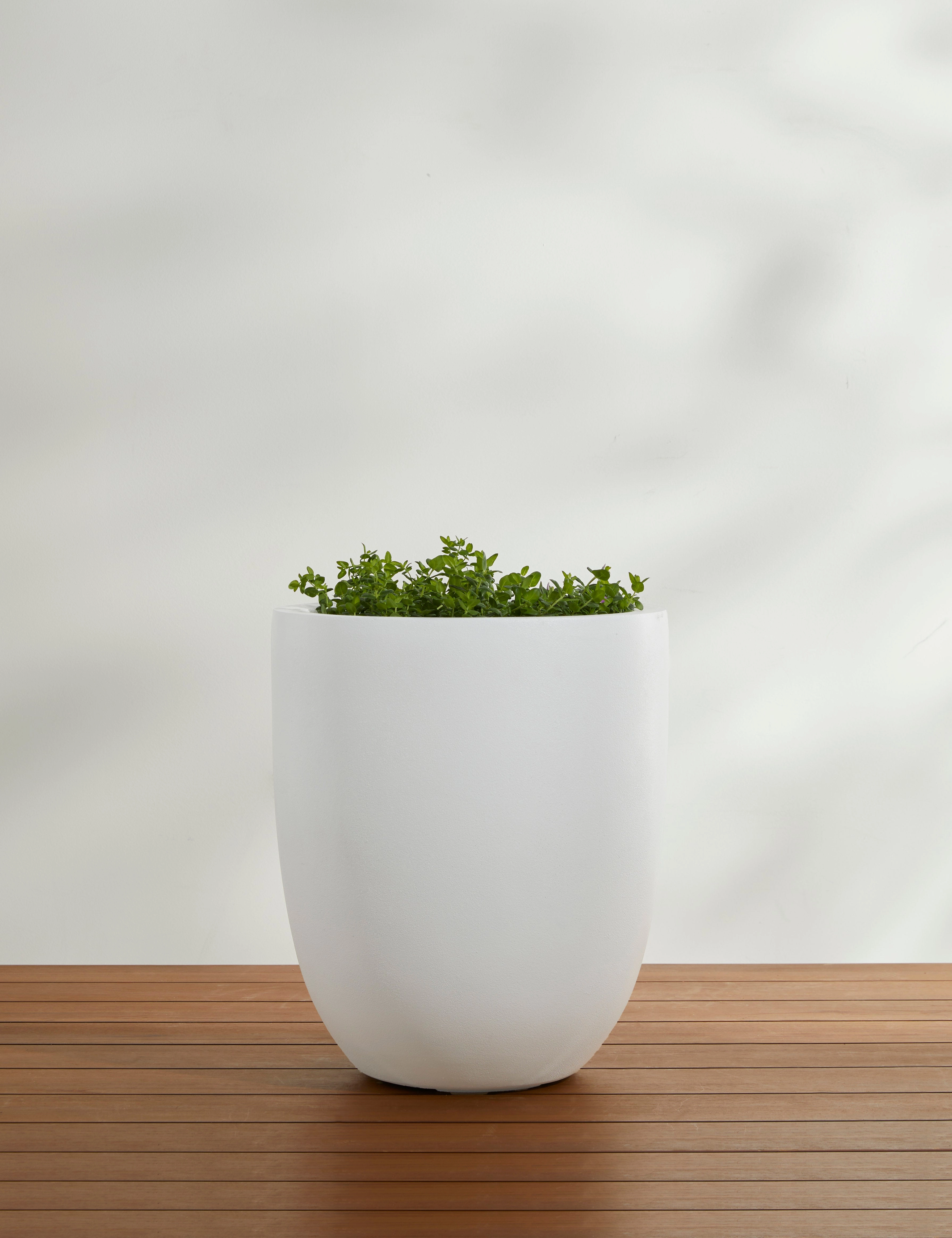 Bradford Planters by Campania International