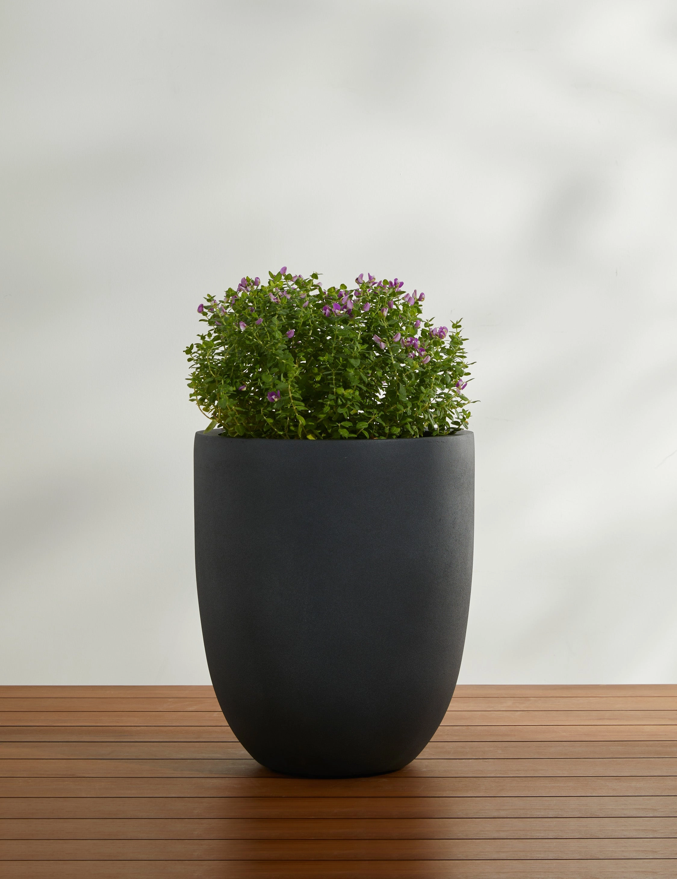 Bradford Planters by Campania International