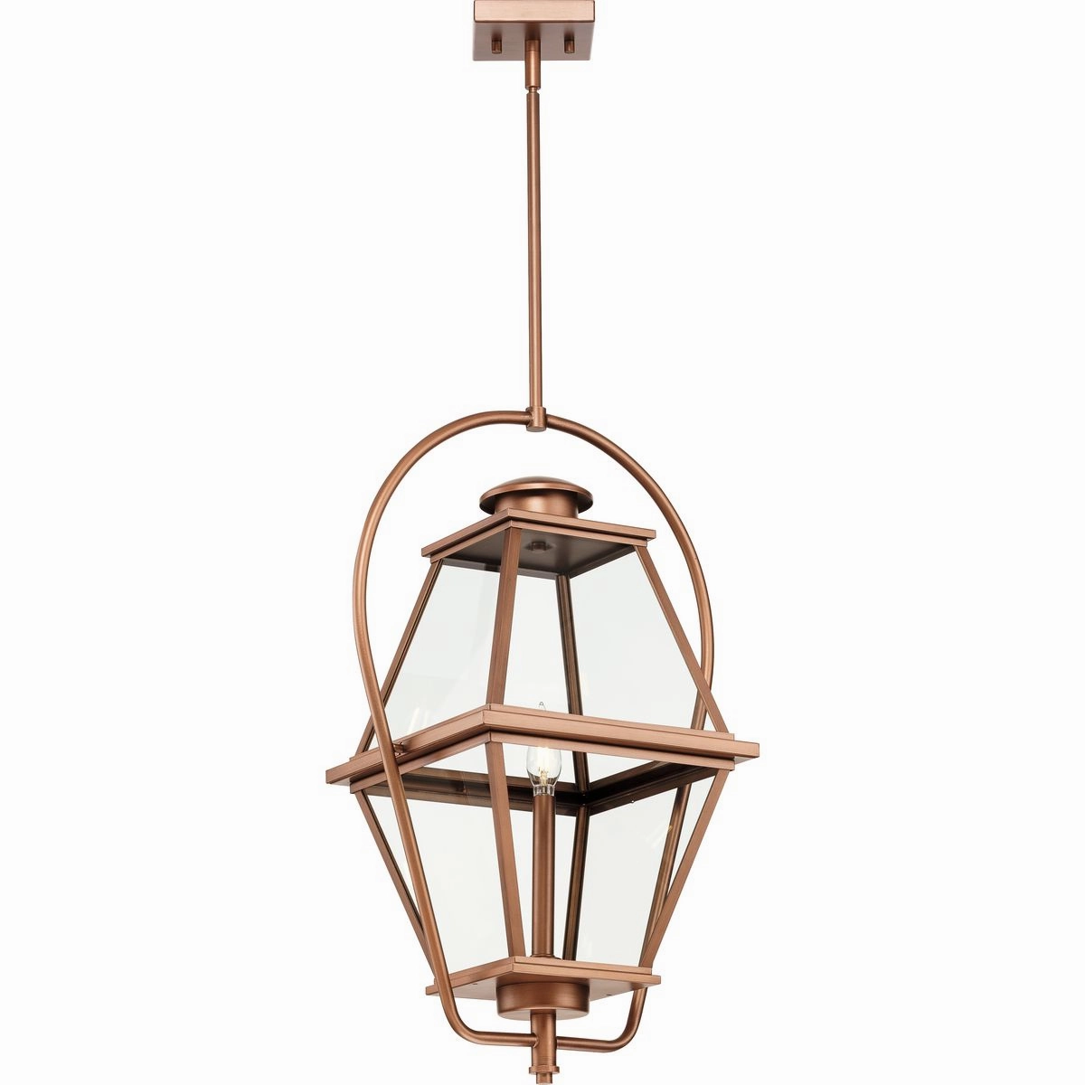 Bradshaw 1-Light Outdoor Pendant
