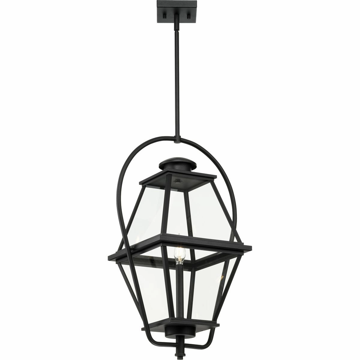 Bradshaw 1-Light Outdoor Pendant