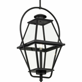 Bradshaw 1-Light Outdoor PendantWeatherproof outdoor lighting