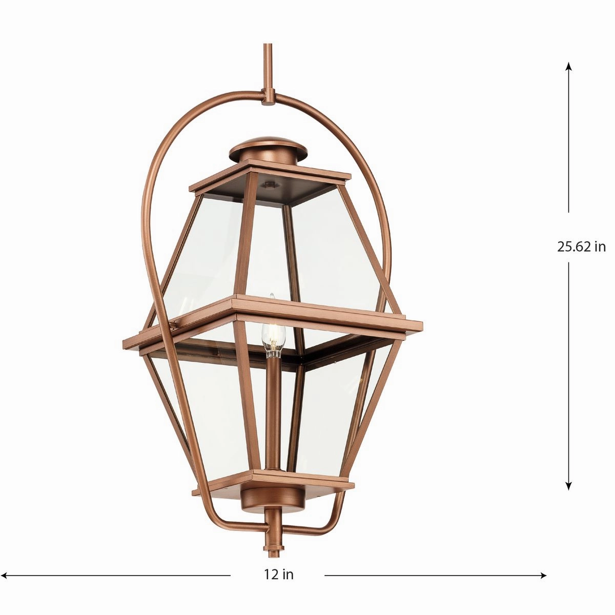 Bradshaw 1-Light Outdoor Pendant