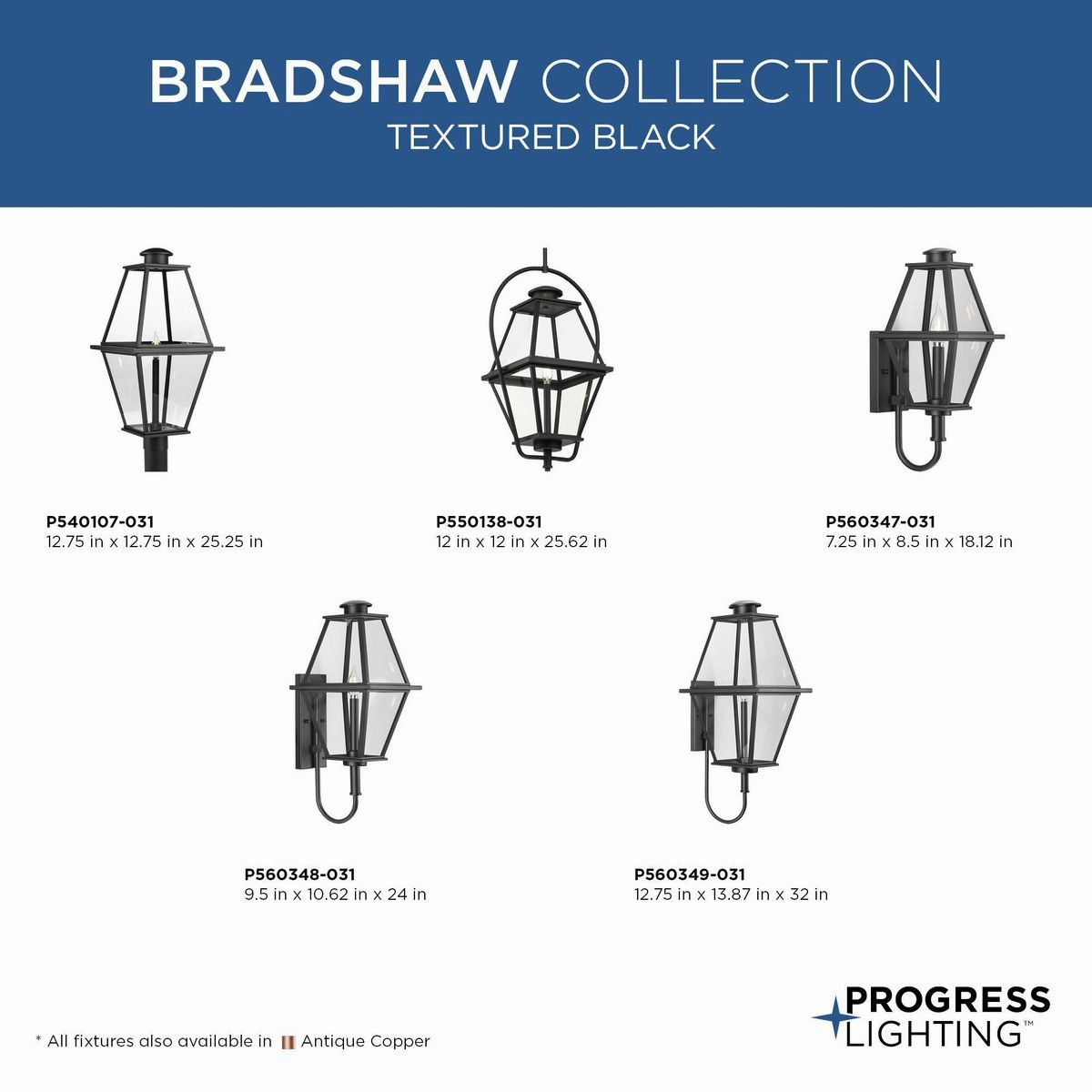 Bradshaw 1-Light Outdoor Pendant