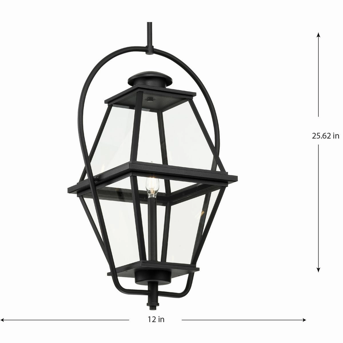 Bradshaw 1-Light Outdoor Pendant