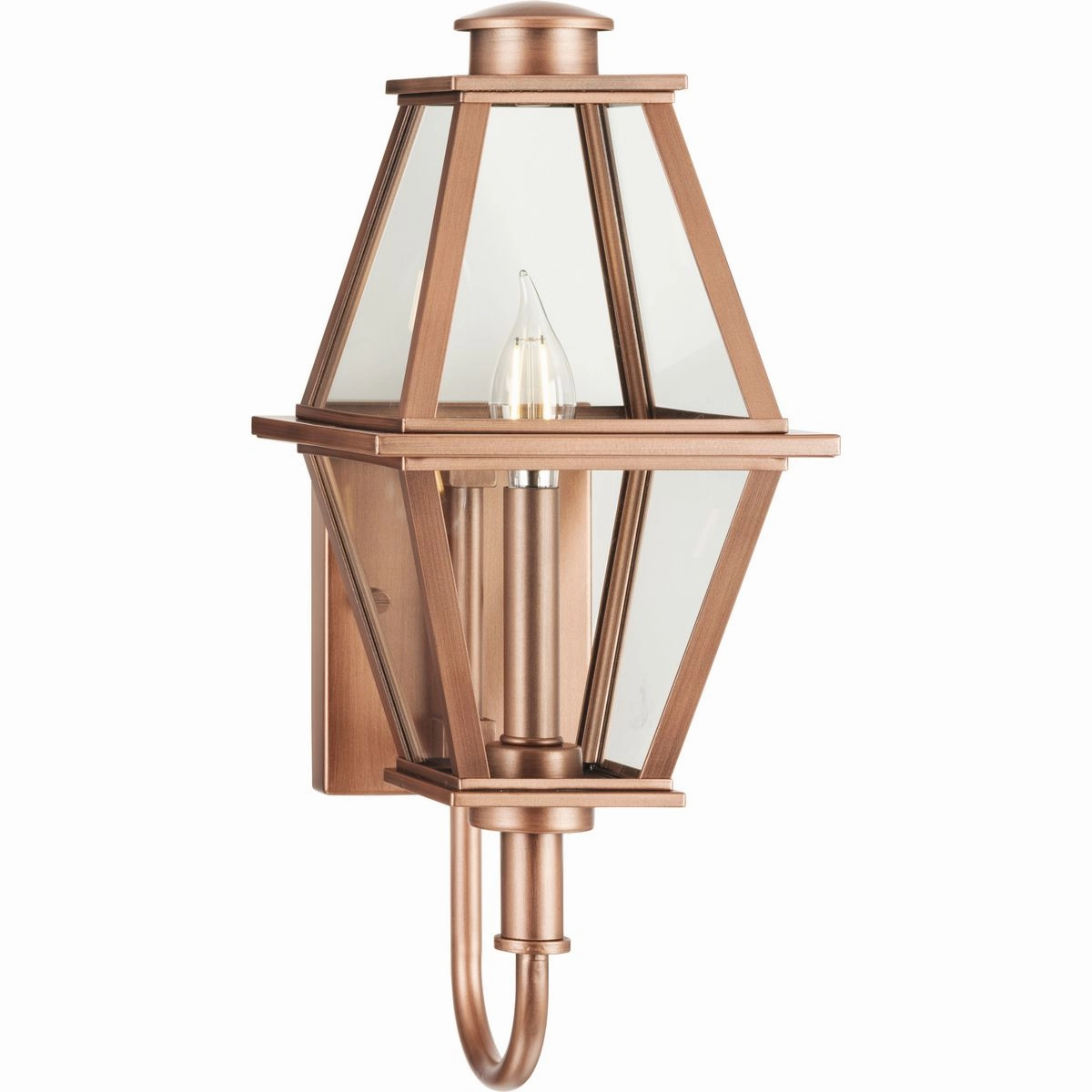 Bradshaw One Light Outdoor Wall Lantern Antique Copper (Painted)