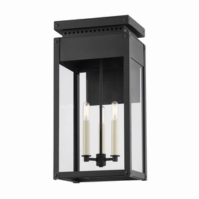 Braydan 3-Light Exterior Wall SconceWeatherproof outdoor lighting
