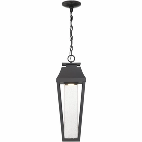 Brookline LED Outdoor Hanging LanternWeatherproof outdoor lighting