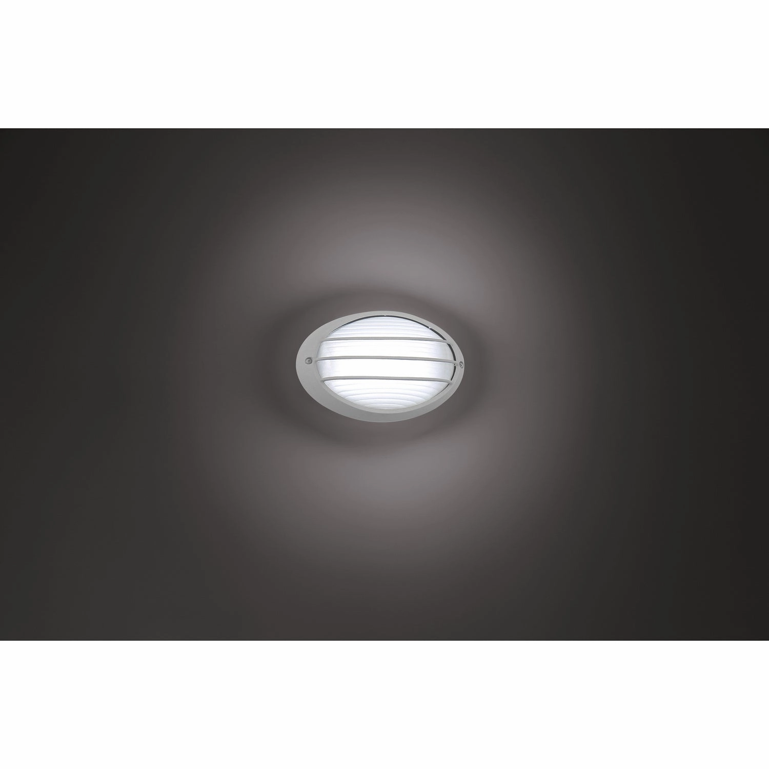 Cabo LED Bulkhead Satin