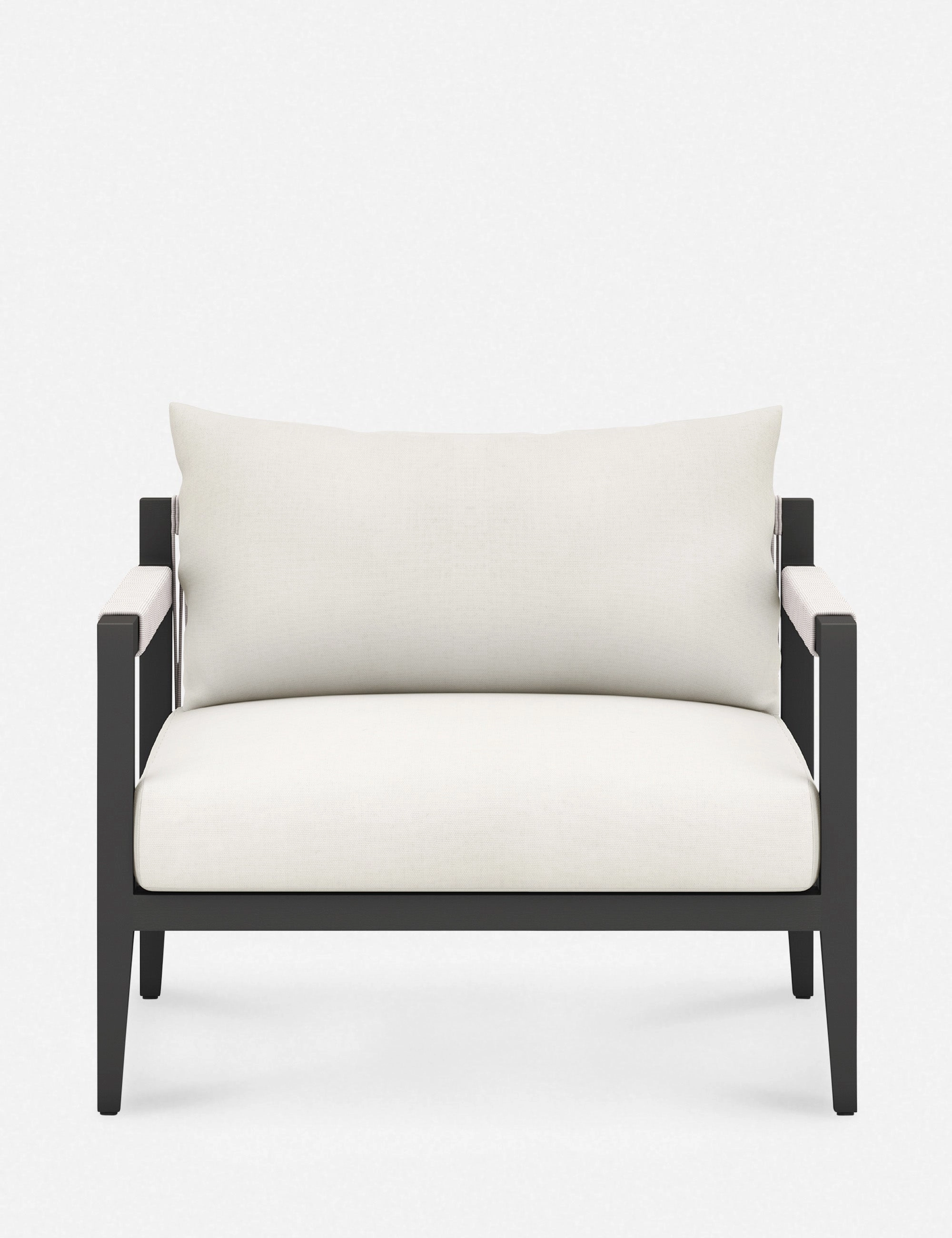 Cadenza Indoor / Outdoor Accent Chair