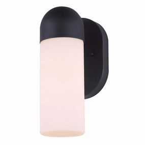 Canarm Callen Outdoor Ceiling LightWeatherproof outdoor lighting