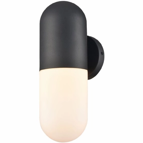 Capsule Medium Outdoor SconceWeatherproof outdoor lighting