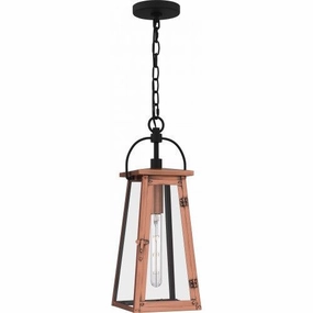 Carolina 1-Light Outdoor PendantWeatherproof outdoor lighting