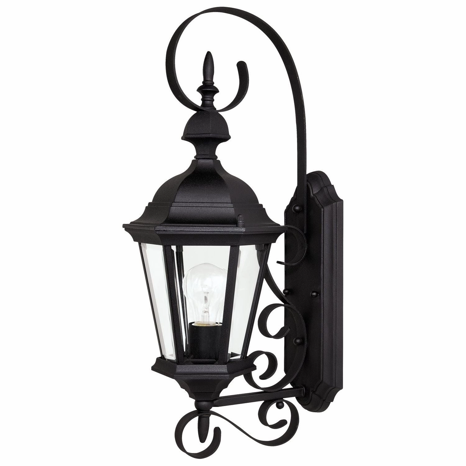 Carriage House 1-Light Outdoor Wall LanternWeatherproof outdoor lighting